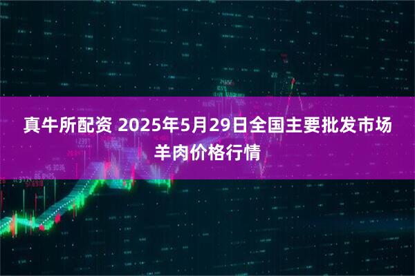 真牛所配资 2025年5月29日全国主要批发市场羊肉价格行情