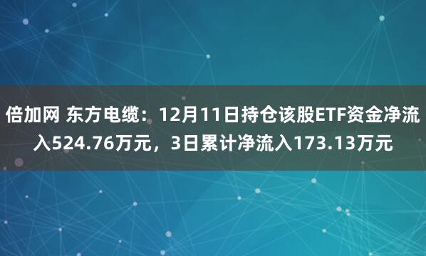 倍加网 东方电缆:12月11日持仓该股ETF资金净流入524.76万元,3日累计净流入173.13万元
