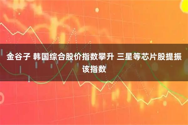 金谷子 韩国综合股价指数攀升 三星等芯片股提振该指数