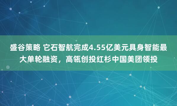 盛谷策略 它石智航完成4.55亿美元具身智能最大单轮融资，高瓴创投红杉中国美团领投